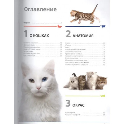 Дудникова Светлана Сергеевна: Кошки. Самая полная иллюстрированная энциклопедия