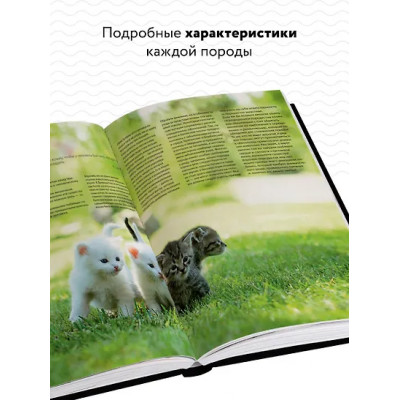 Дудникова Светлана Сергеевна: Кошки. Самая полная иллюстрированная энциклопедия