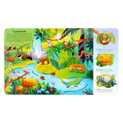 Гаевская Екатерина: Мир животных. Книжка с окошками