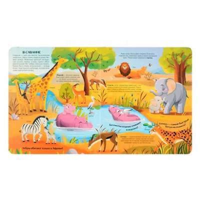 Гаевская Екатерина: Мир животных. Книжка с окошками