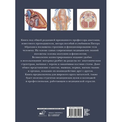 Абрахамс Питер: Анатомия человека