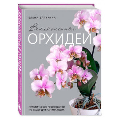 ДизайнСтудия Великолепные орхидеи Практ.рук-во по уходу д/начинающих (Бачурина Е.В.) [Флорариум]