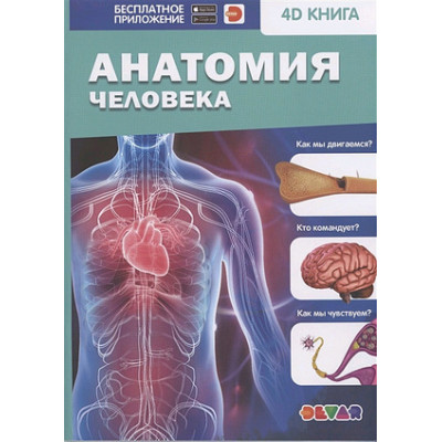 4DКнига(Devar)_Знакомство Анатомия человека