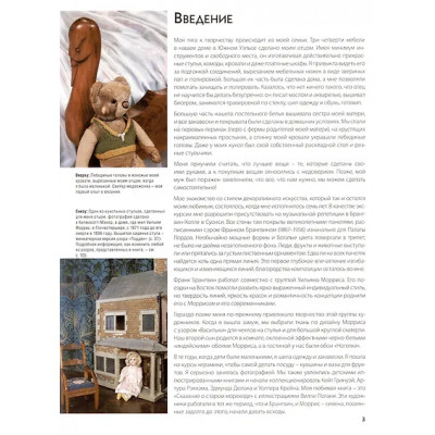 Рассел Бет: Декоративное вышивание по канве: по мотивам рисунков Уильяма Морриса