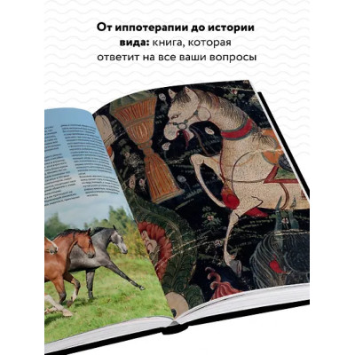 Зимина Галина: Лошади. Самая полная иллюстрированная энциклопедия