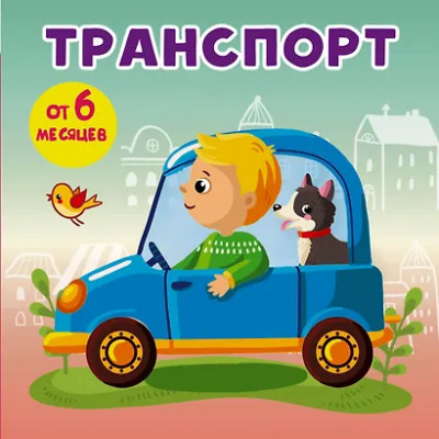 Игнатова Анна Сергеевна: Транспорт