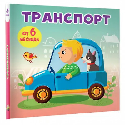 Игнатова Анна Сергеевна: Транспорт