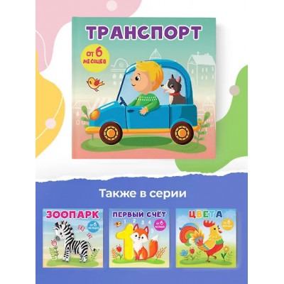 Игнатова Анна Сергеевна: Транспорт