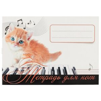 _Тетрадь(Питер) д/нот 16л. B5 [Рыжий котенок]