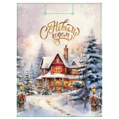 **НГ Пакет[M]бум.ламинир.(Миленд) Dream cards Зимняя деревушка (230*180*100) (ПКП-6649)